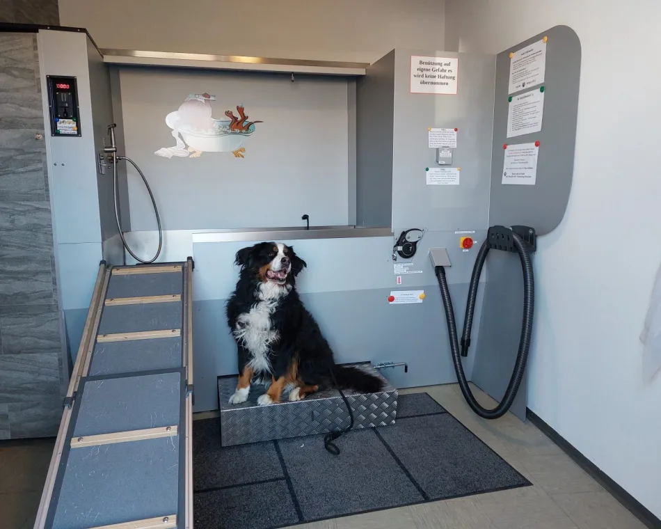KFZ-Vermietung Hermann SB-Hundewasch-Center – Ansicht 6